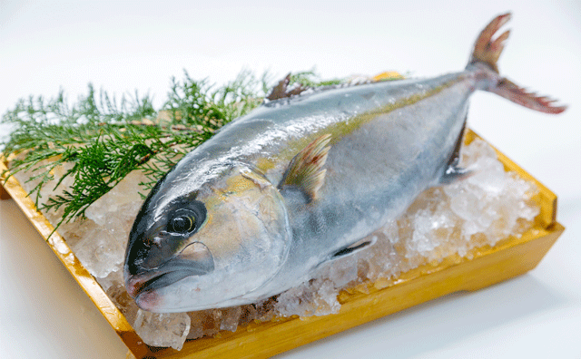 鮮魚